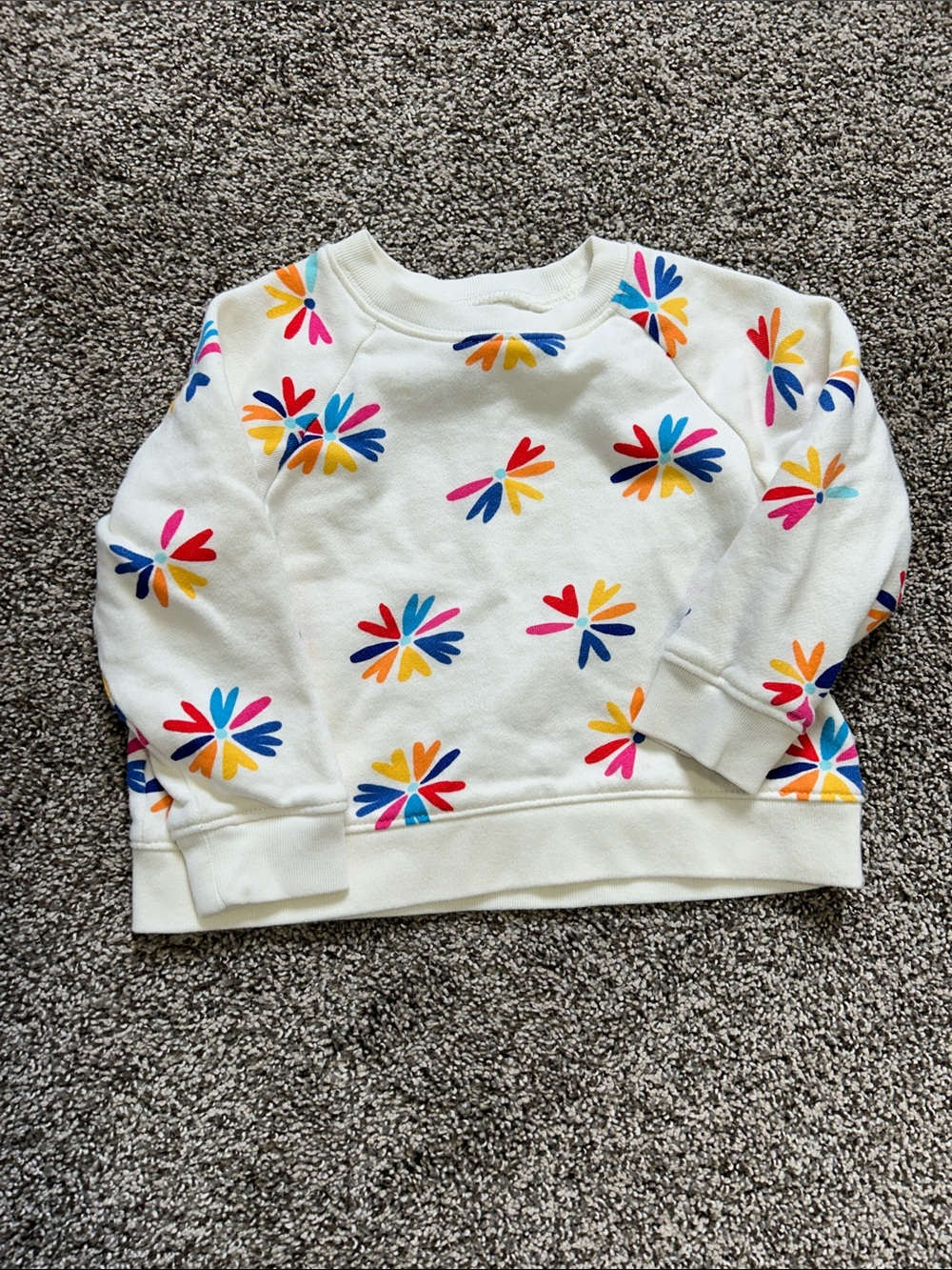 Primary Cream Sweatshirt with Multicolor Petal Print